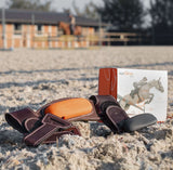 Pack Motion One + Winter Performance Motion Equisense