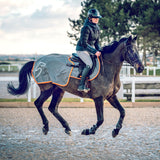 Kidney Covers Accessories v2.equisense