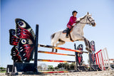 Luciana Diniz - Masterclass Dynamic Butterfly Services BtoC Equisense 