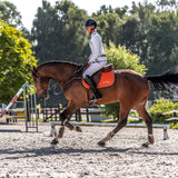 Orange CSO mat v2.equisense