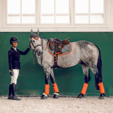 Matten Motion Sport v2.equisense