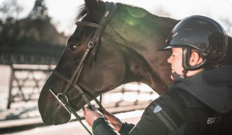 TIGHTENING THE NOSEBAND: IS THIS A GOOD IDEA?